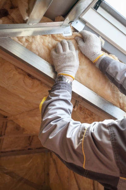 Types of Insulation We Offer in Nogales, AZ